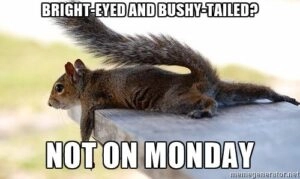 Bright Eyed and Bushy Tailed ?