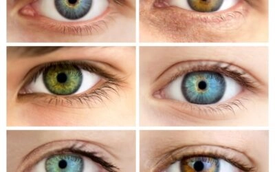 March 22, 2017: English Mini-Lesson Answer